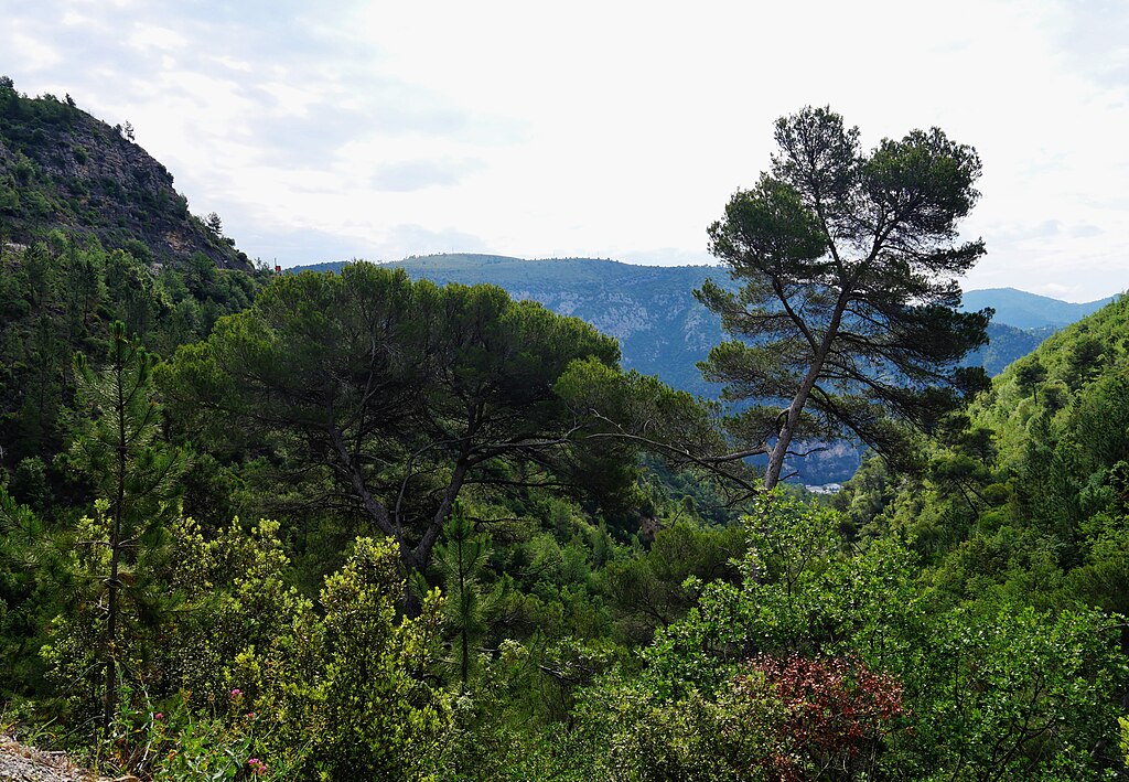 Menuiserie Alpes-Maritimes