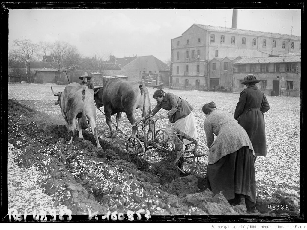Menuiserie Val-de-Marne