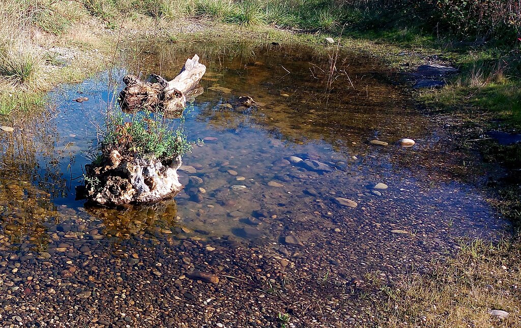 Menuiserie Wittenheim